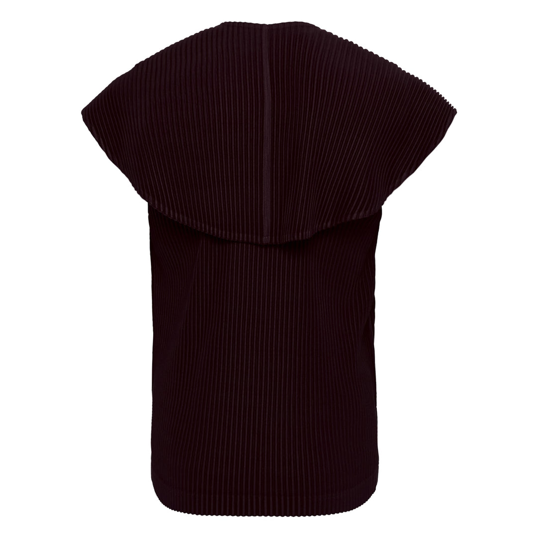 January Pleated Top