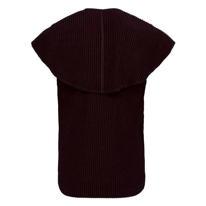 January Pleated Top