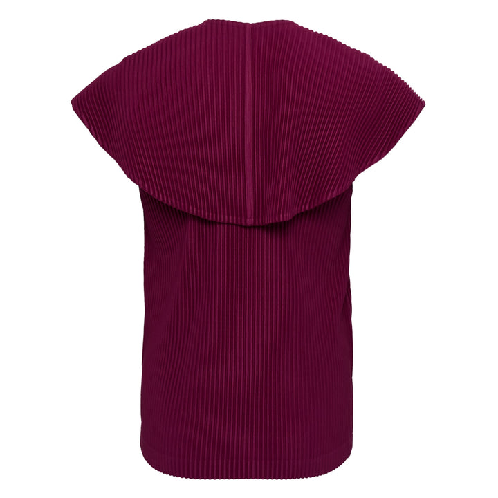 Monthly Colors January Pleated Top