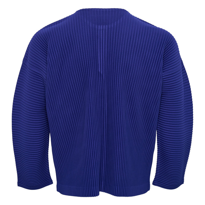 Monthly Colors February Pleated Top