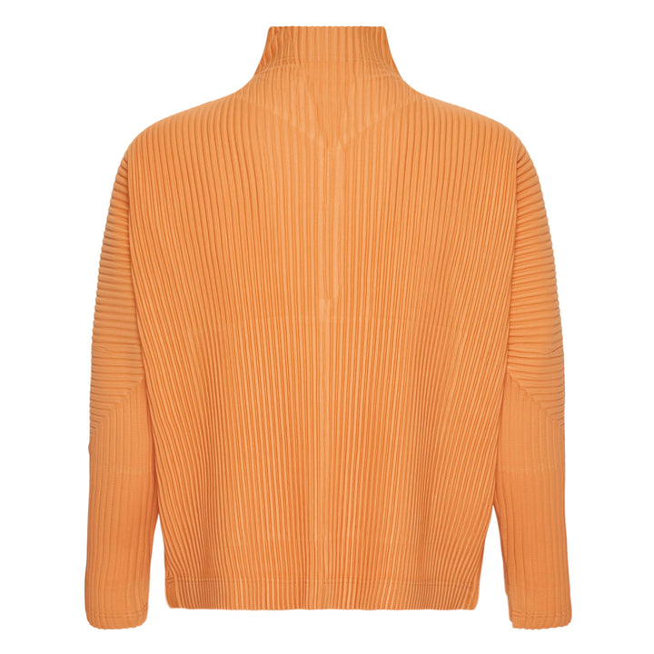 Monthly Colors March Pleated Top