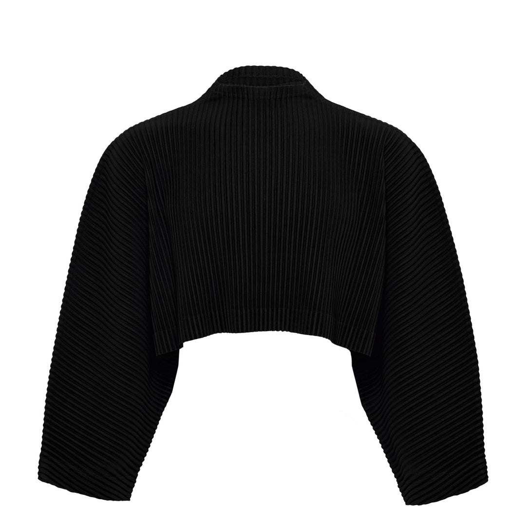 Color Pleats 1 Pleated Top