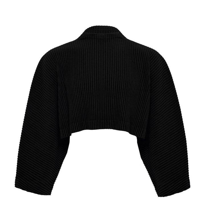 Color Pleats 1 Pleated Top