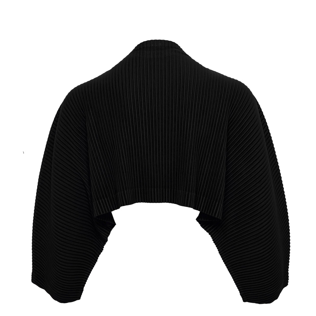 Color Pleats 1 Pleated Top