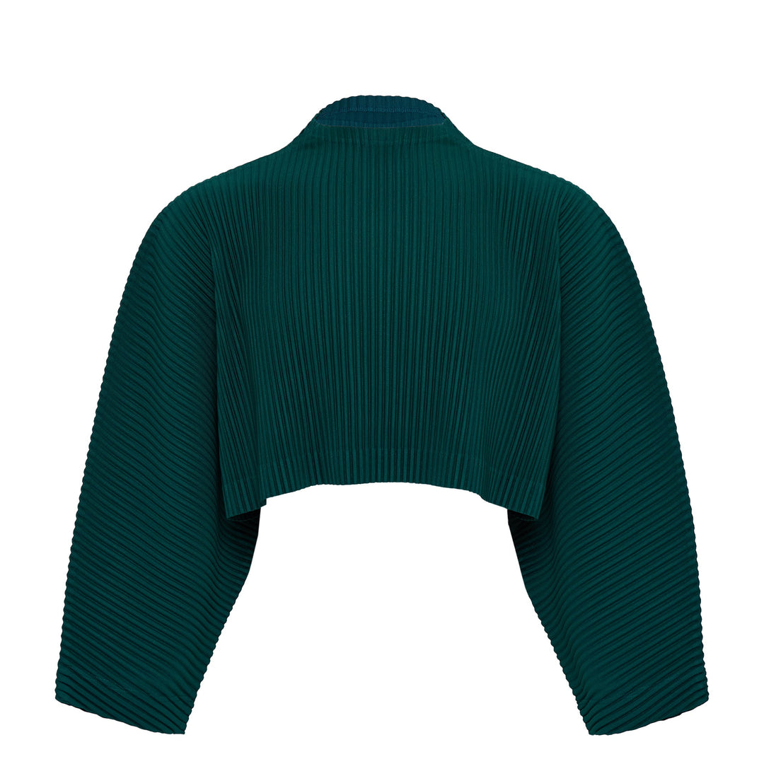 Color Pleats Pleated Top