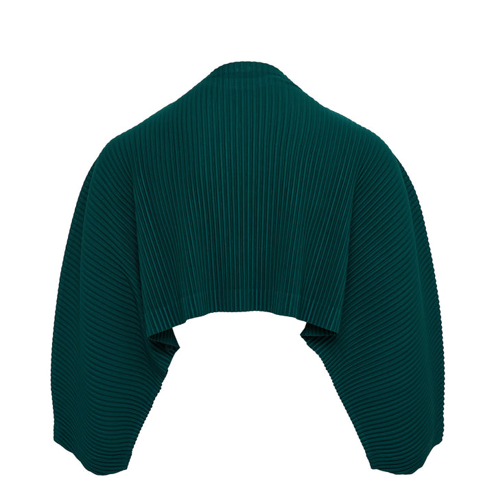 Color Pleats Pleated Top