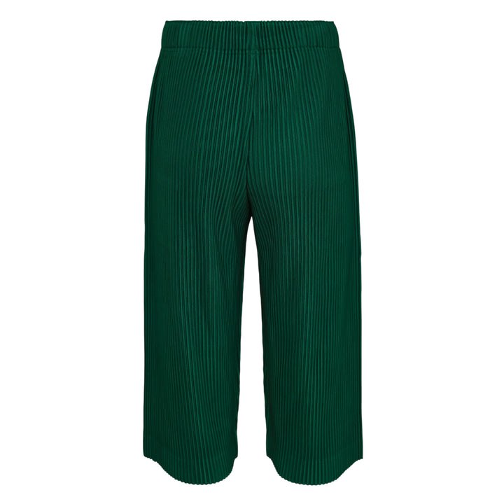Homme Plissé Issey Miyake Monthly Colors May black accordion pleated wide-leg cropped pants with elastic waistband, front view on white background