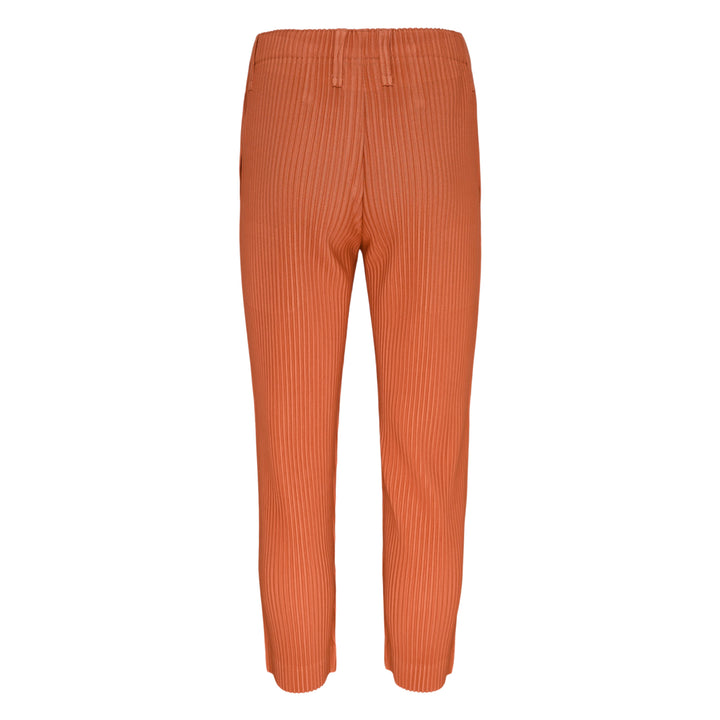 Tailored Pleats 3