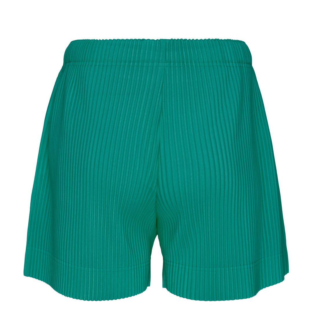 Colorful Pleats Bottoms