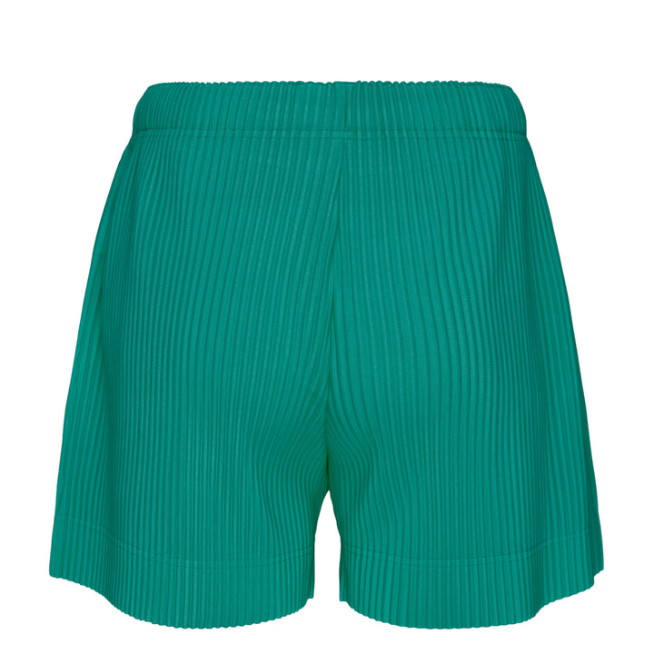 Colorful Pleats Bottoms