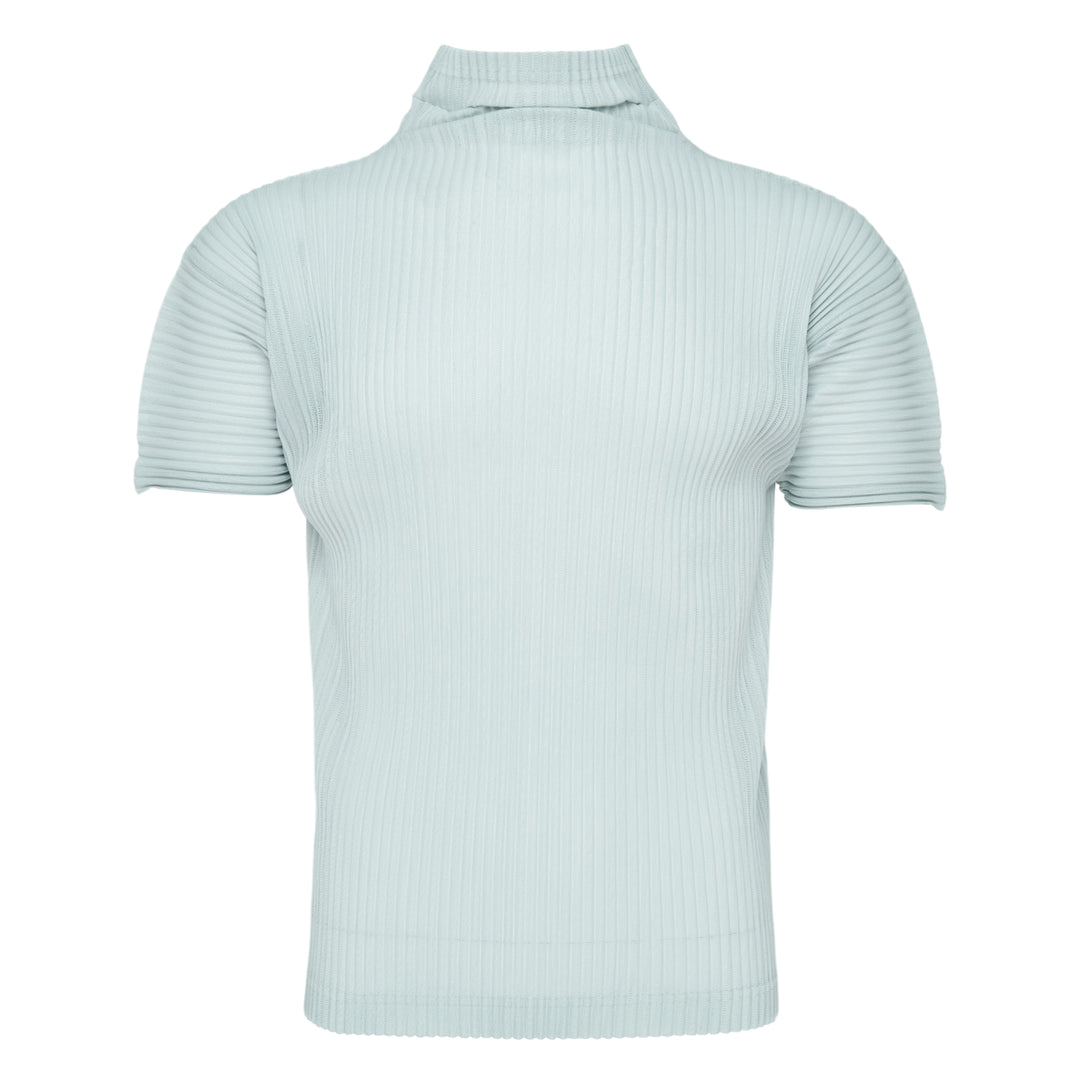 Homme Plissé Issey Miyake Agave Mesh pleated polo top in black, rear view, showing vertical micro-pleat mesh texture, spread collar, and short sleeves