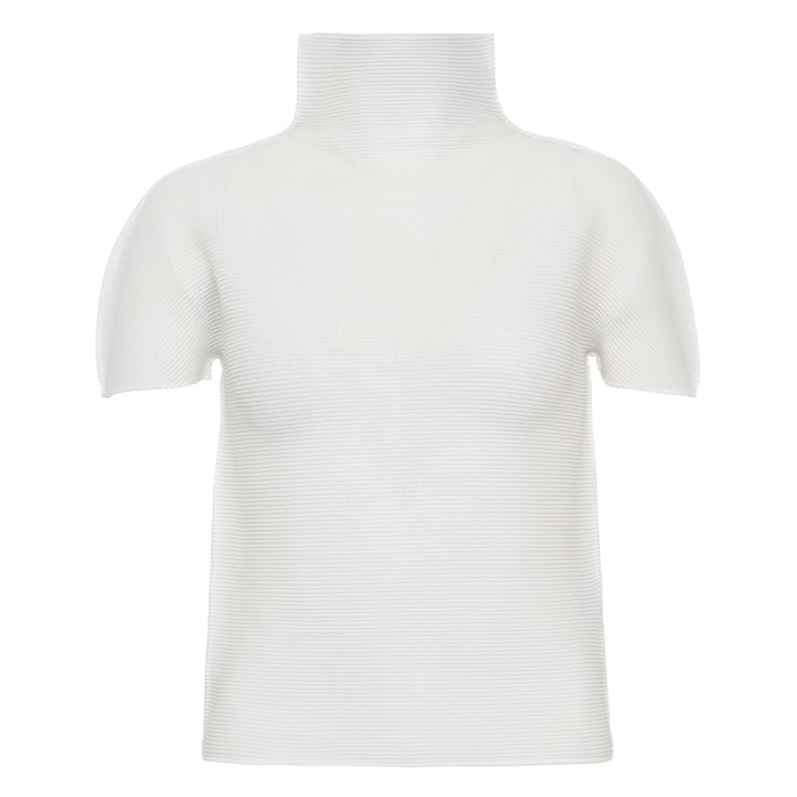 me Issey Miyake Stretch Pleats High Neck Top in black with short sleeves and structured turtleneck collar, flat lay on white background