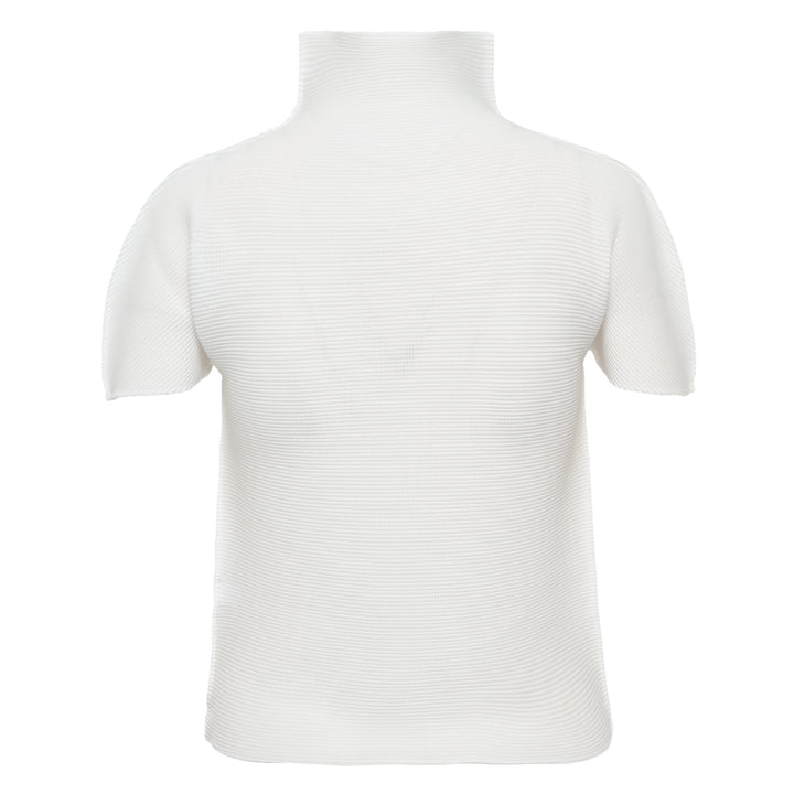 me Issey Miyake Stretch Pleats High Neck Top in black with short sleeves and structured turtleneck collar, flat lay on white background
