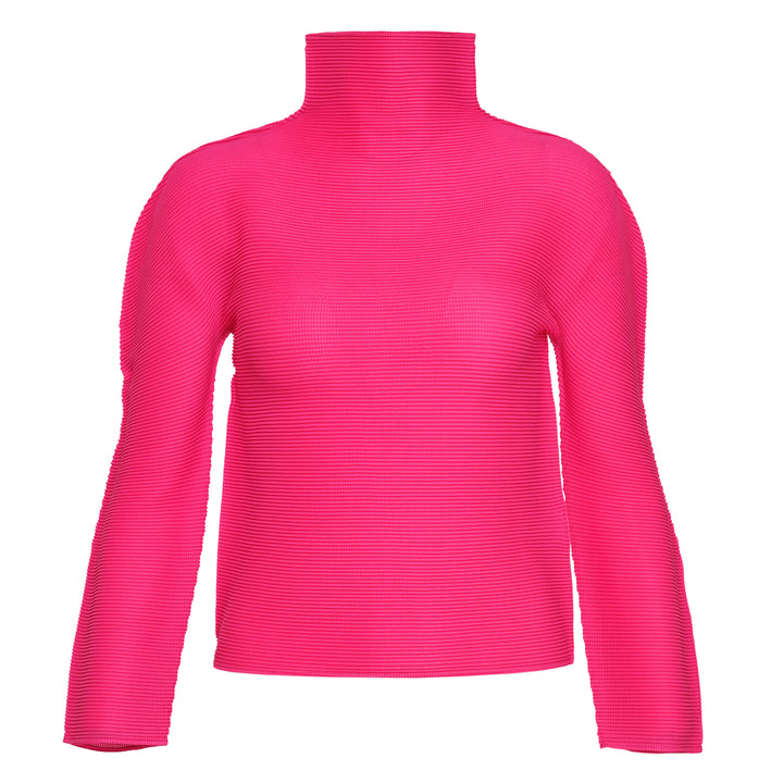 Stretch Pleats 1 Long Sleeve High Neck Top