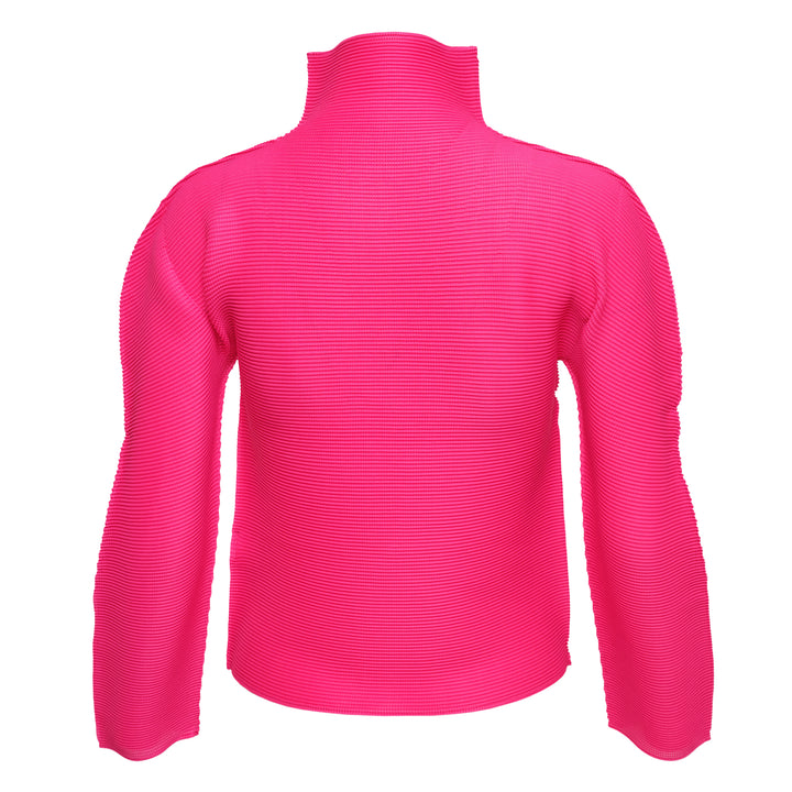 Stretch Pleats 1 Long Sleeve High Neck Top