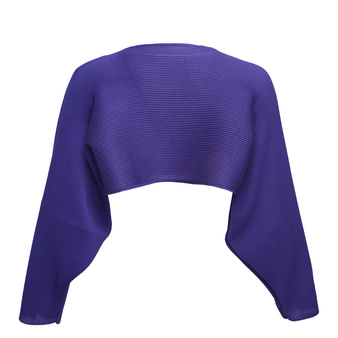 Dolman Stretch Pleated 1 Crop Top