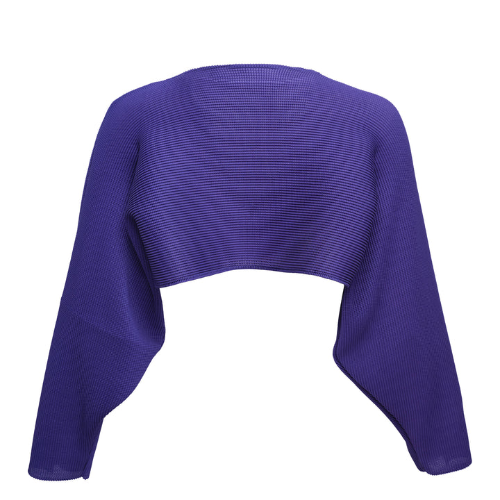 Dolman Stretch Pleated 1 Crop Top