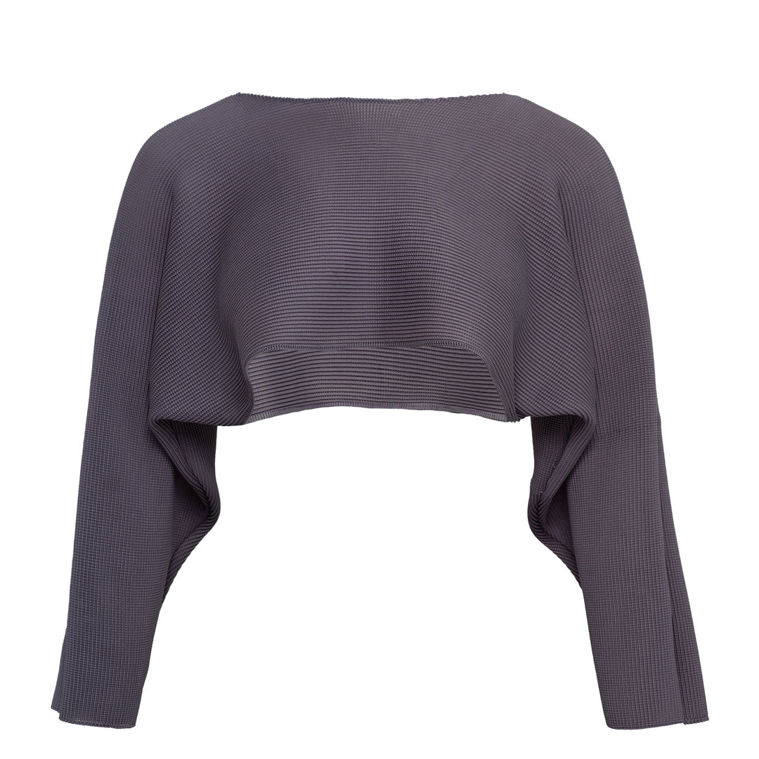Dolman Stretch Pleated Crop Top