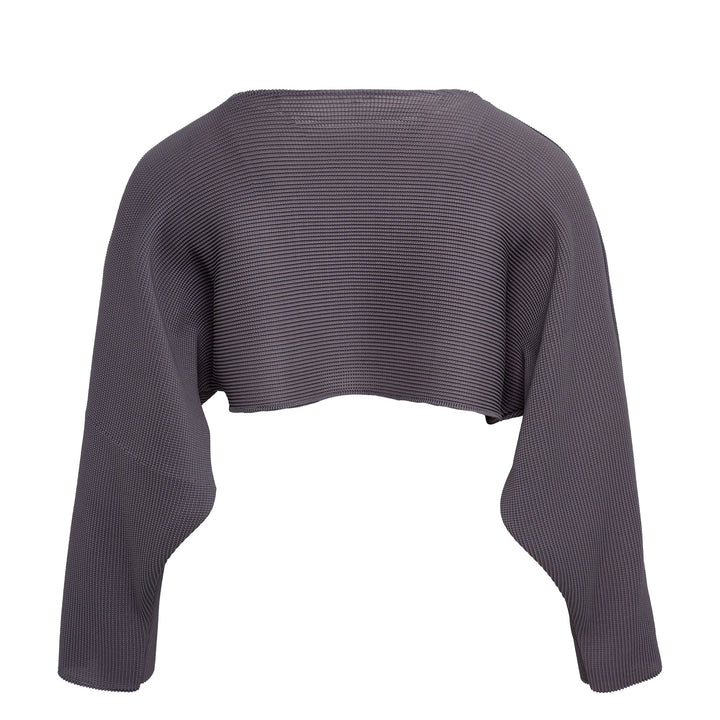 Dolman Stretch Pleated Crop Top