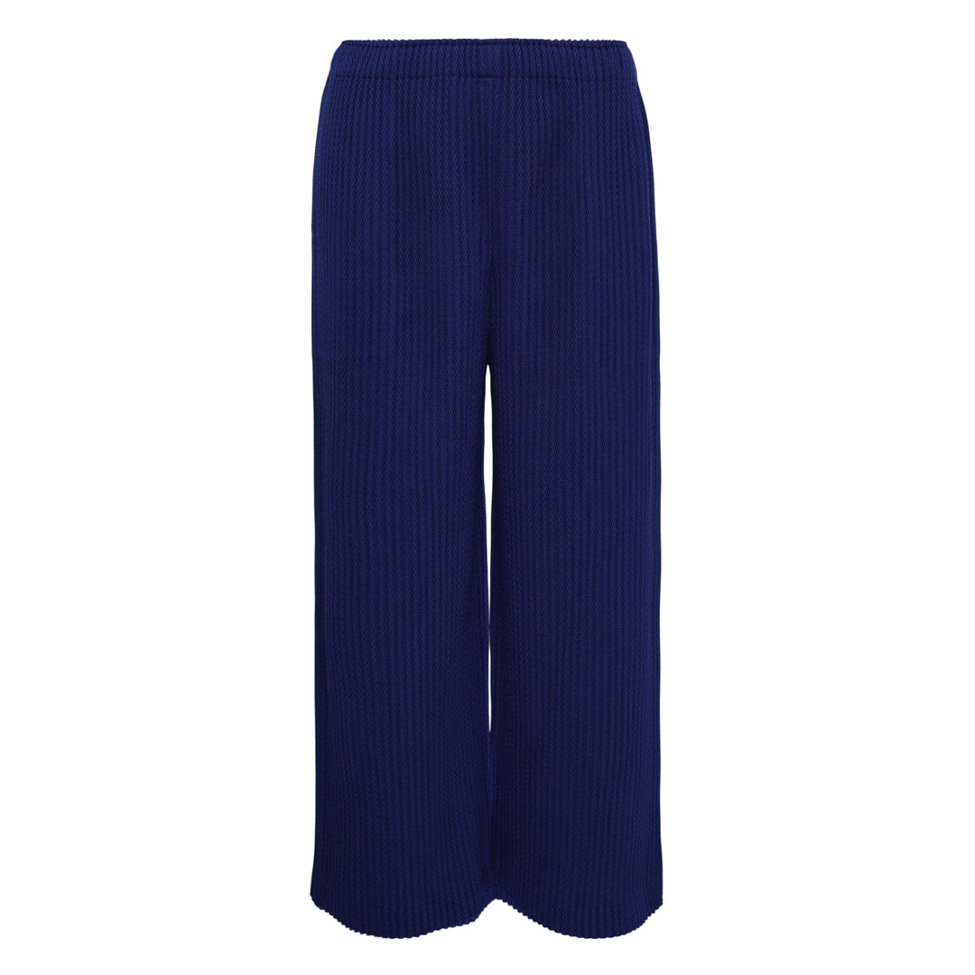 Warm Mesh Pleats Pants