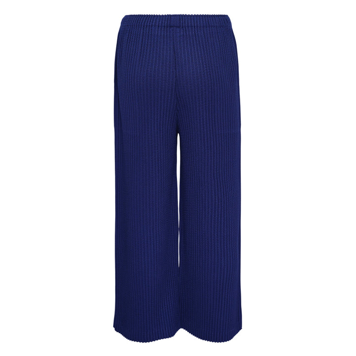 Warm Mesh Pleats Pants