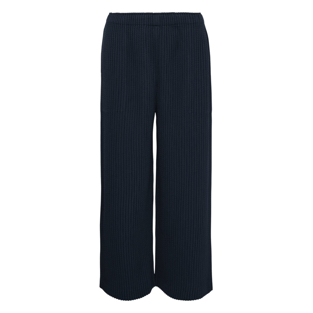 Warm Mesh Pleats Pants