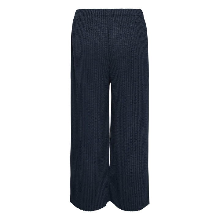 Warm Mesh Pleats Pants