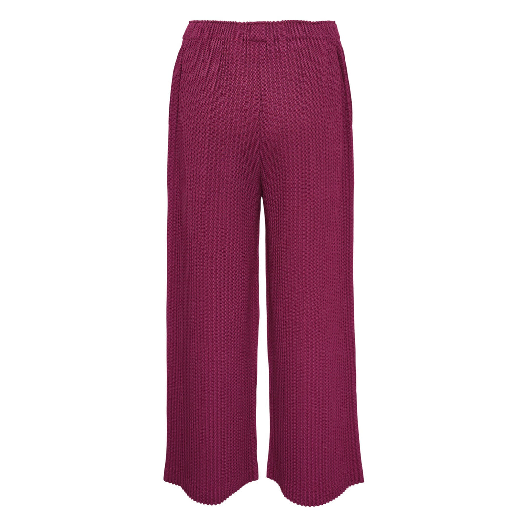Warm Mesh Pleats Pants
