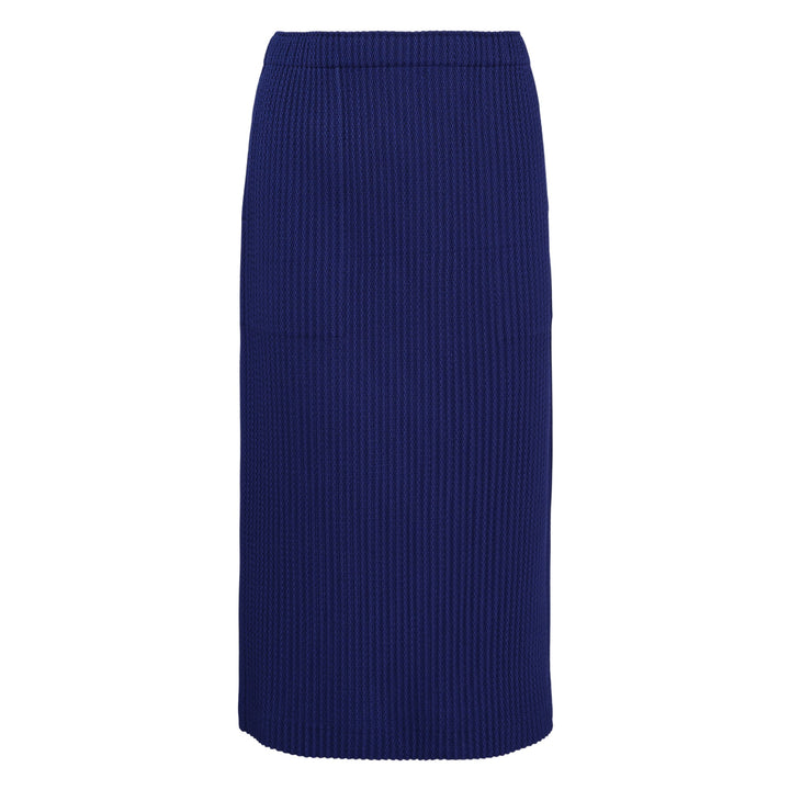 Warm Mesh Pleats Skirt