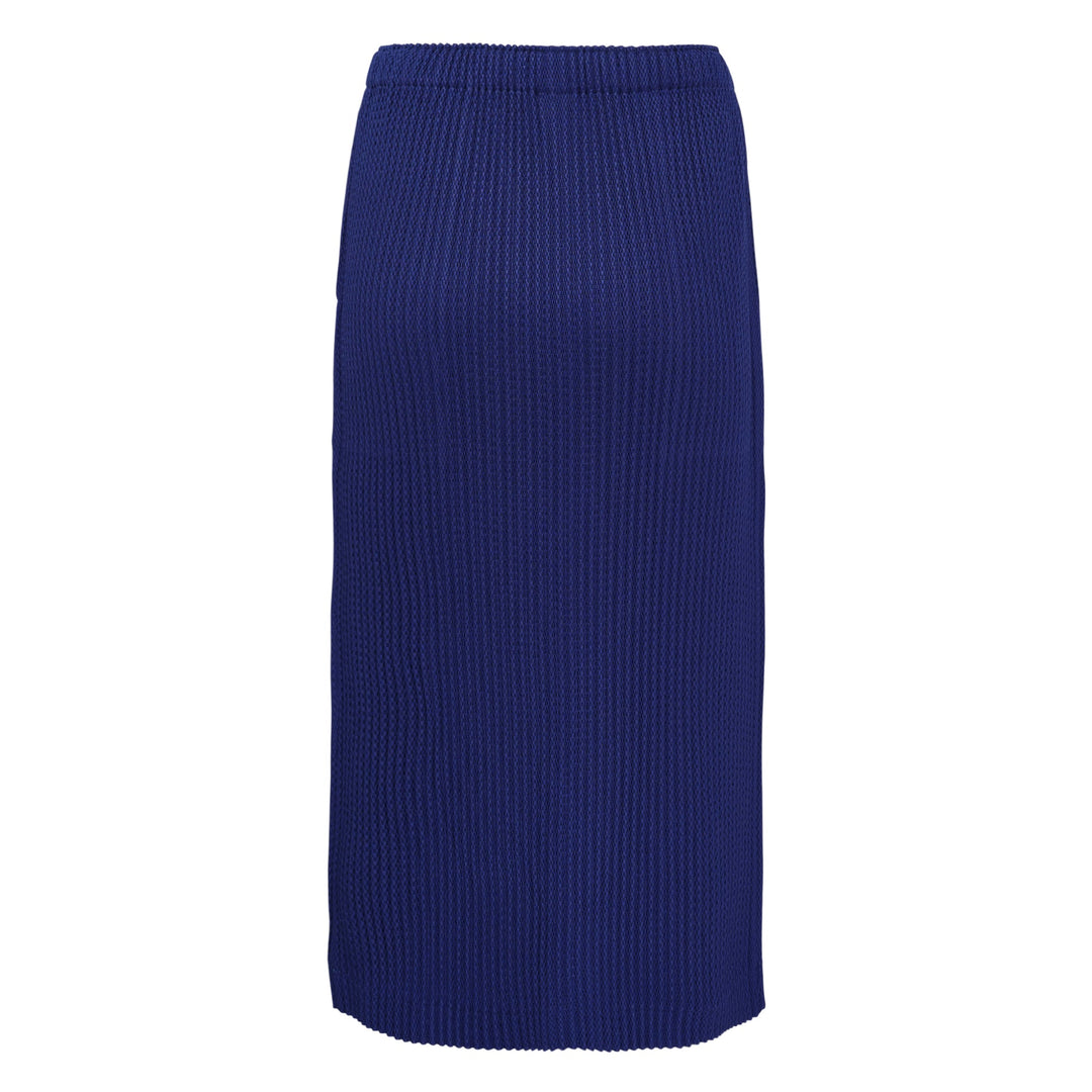 Warm Mesh Pleats Skirt