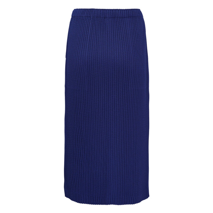 Warm Mesh Pleats Skirt