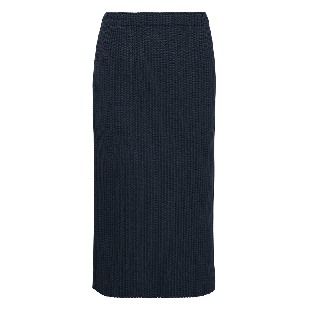 Warm Mesh Pleats Skirt
