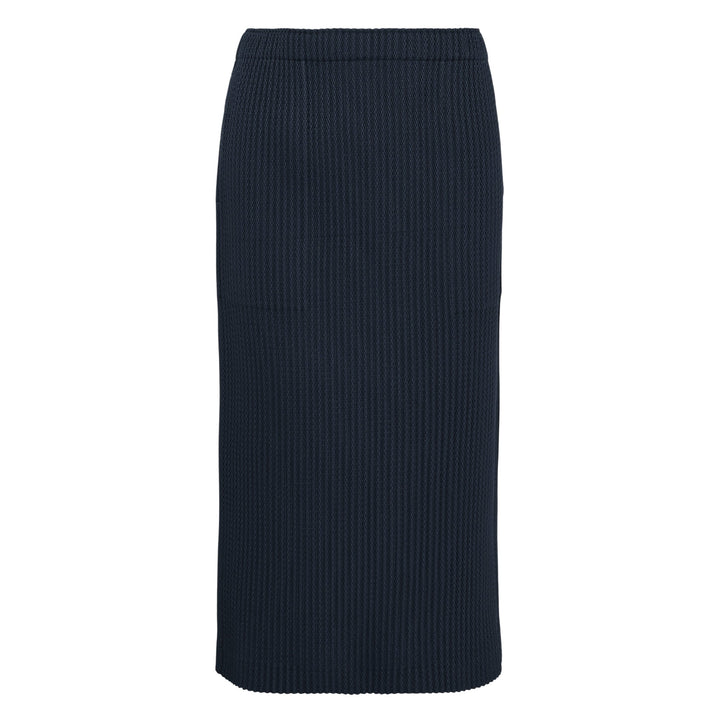 Warm Mesh Pleats Skirt