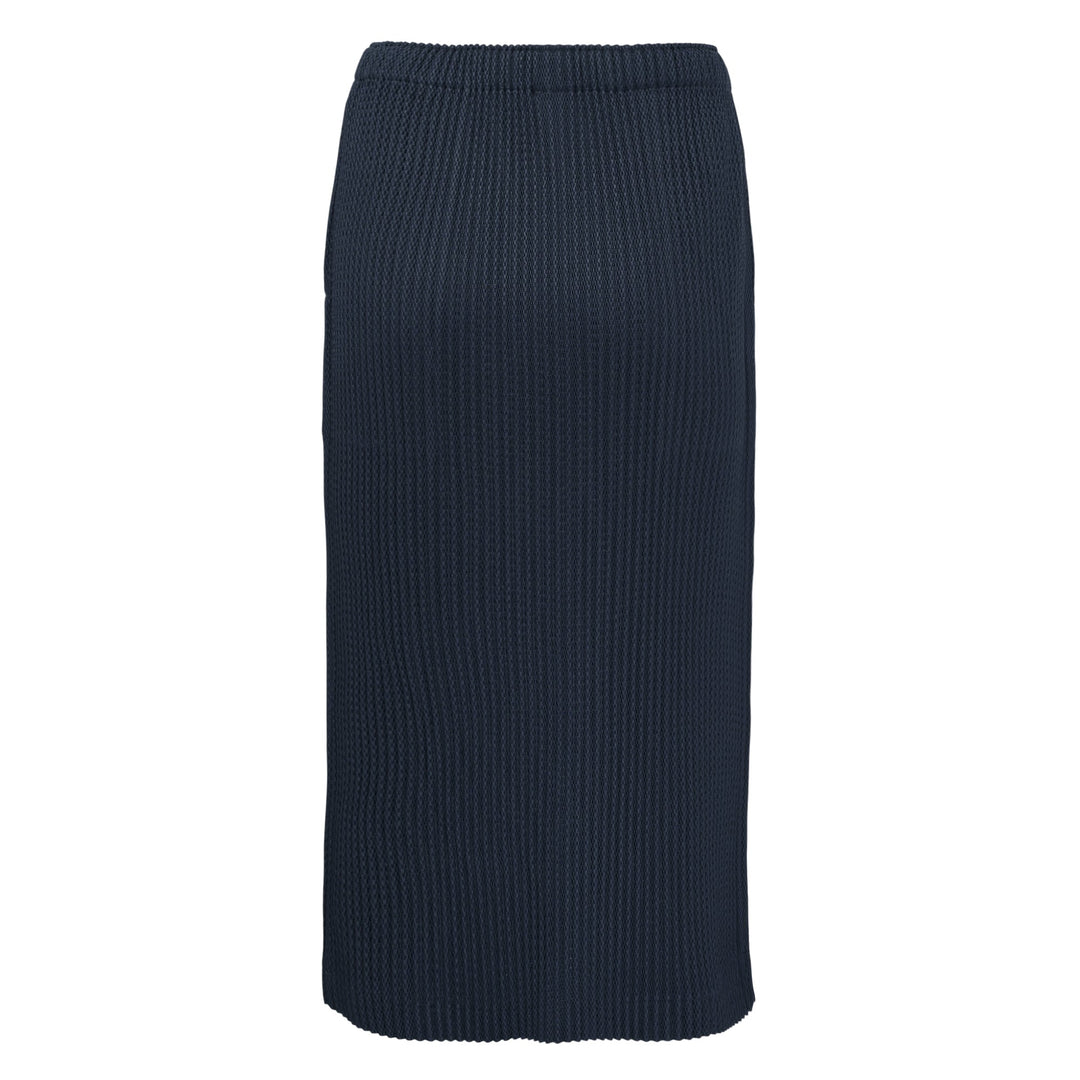 Warm Mesh Pleats Skirt
