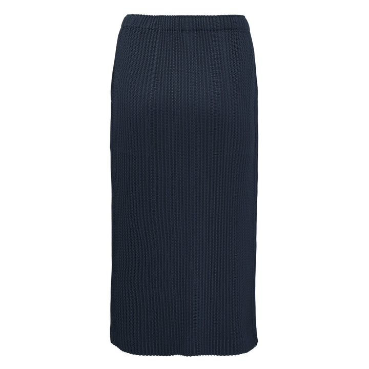 Warm Mesh Pleats Skirt