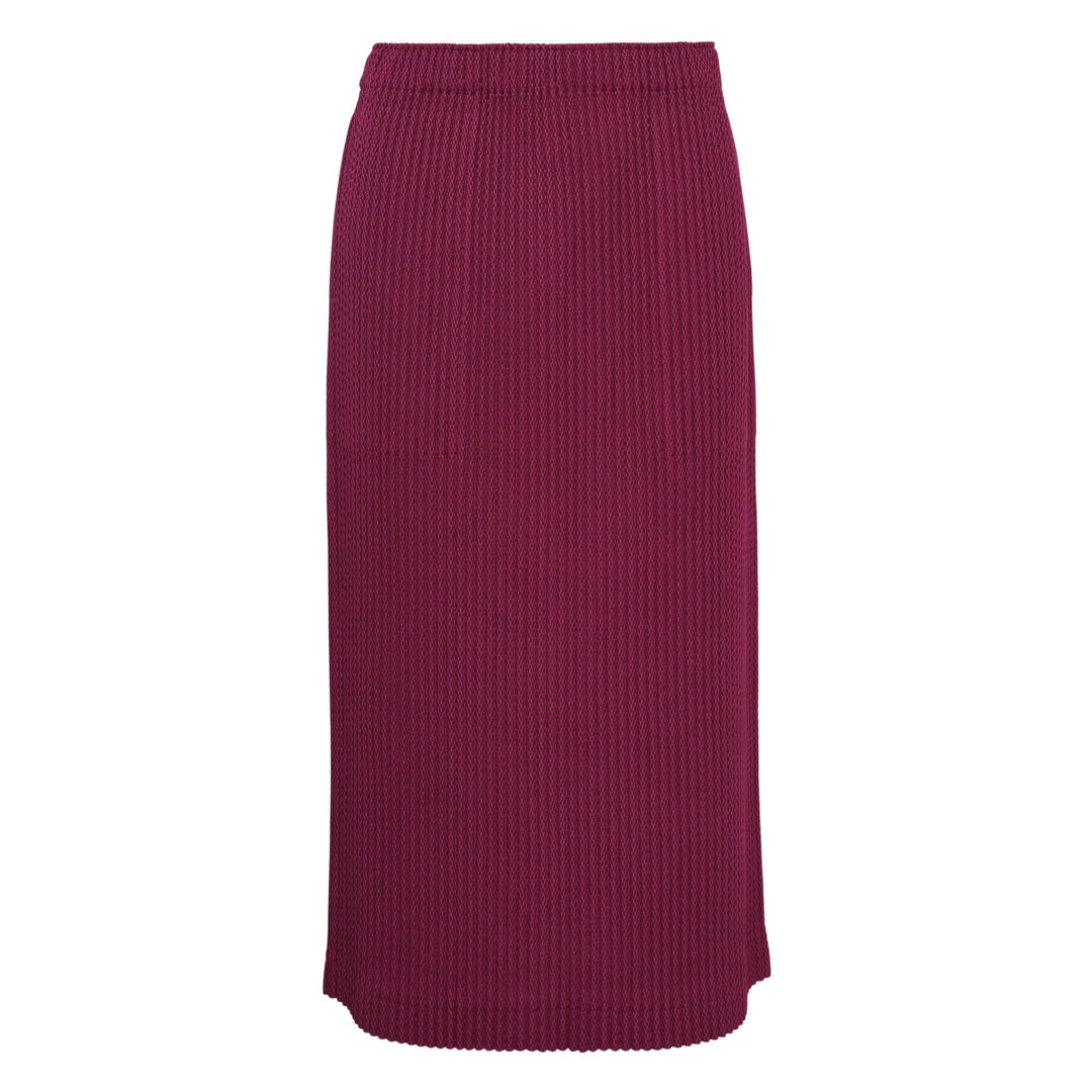 Warm Mesh Pleats Skirt