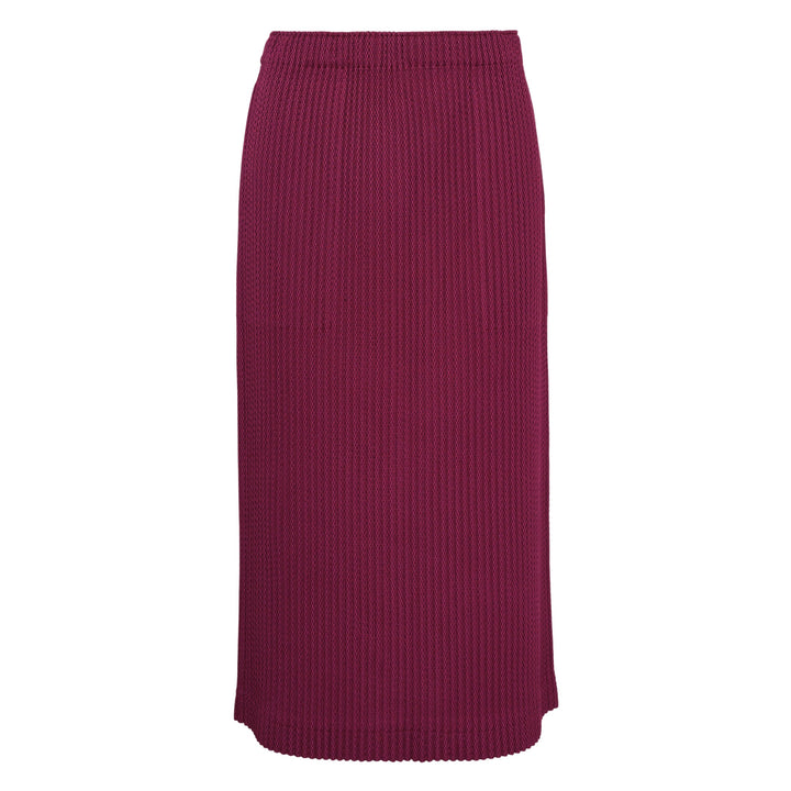 Warm Mesh Pleats Skirt