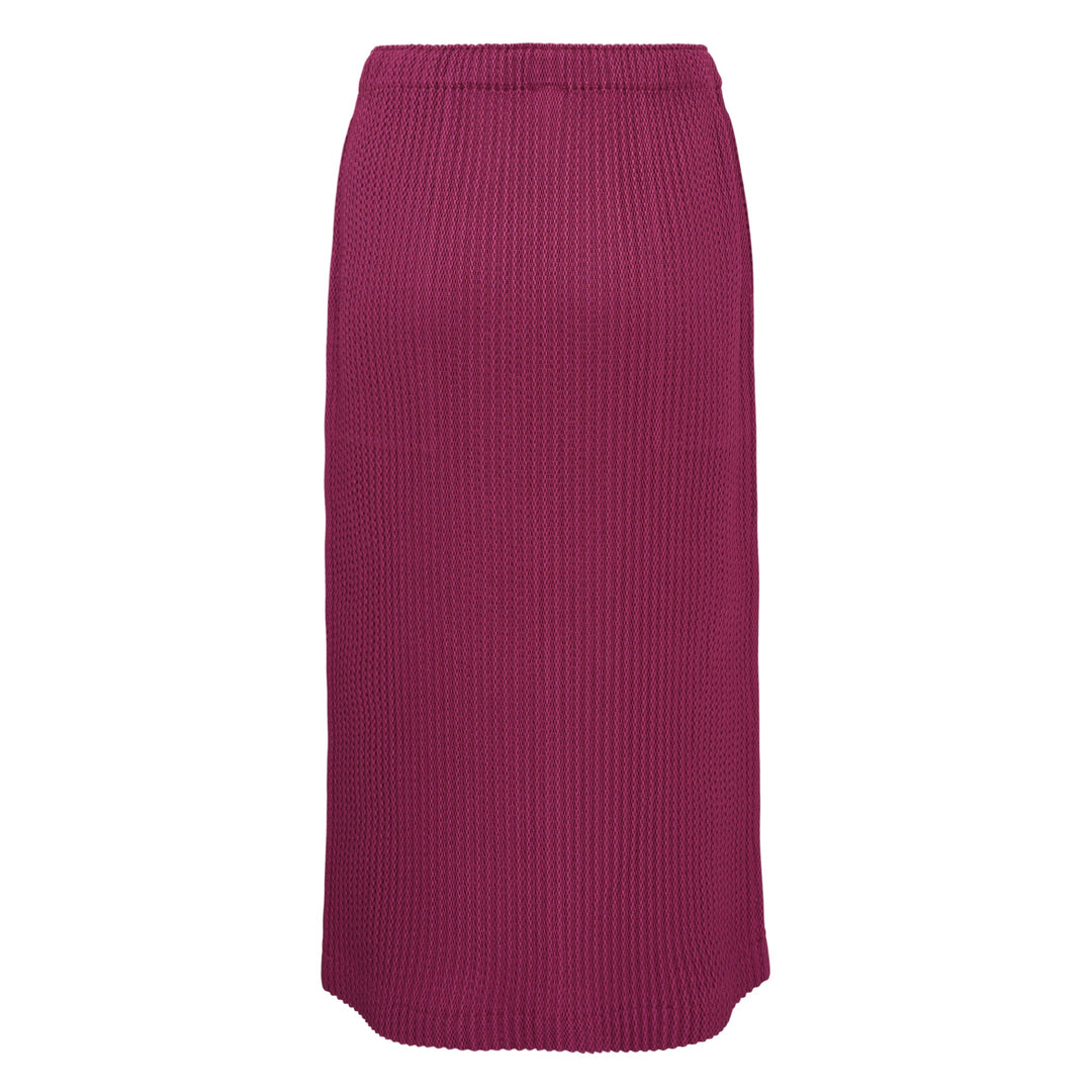 Warm Mesh Pleats Skirt