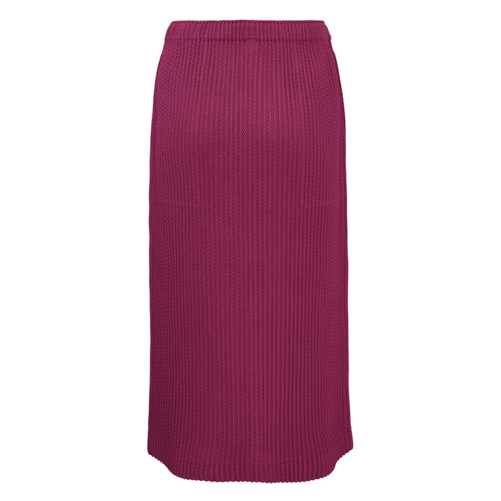 Warm Mesh Pleats Skirt
