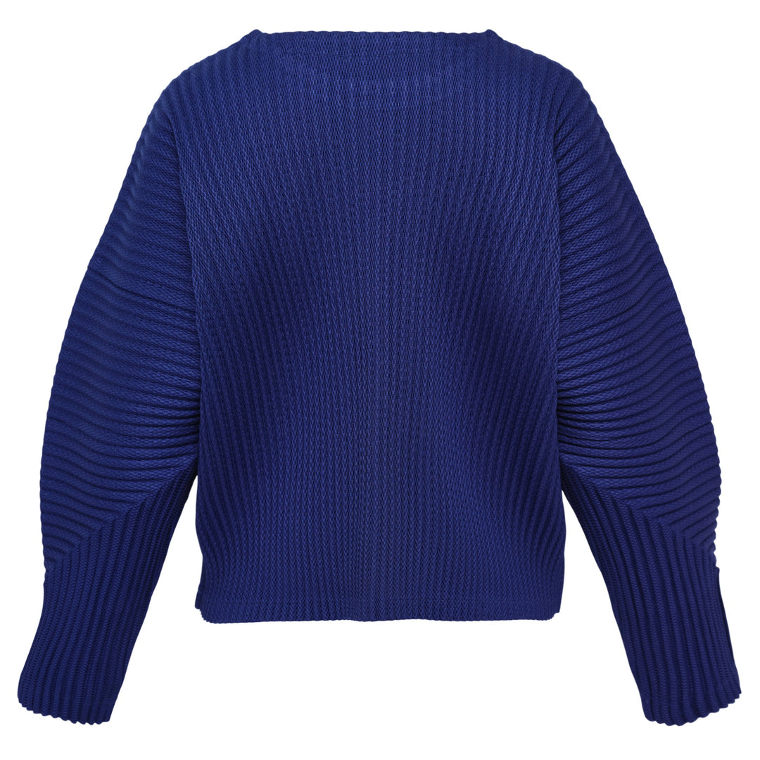 Warm Mesh Pleats Top