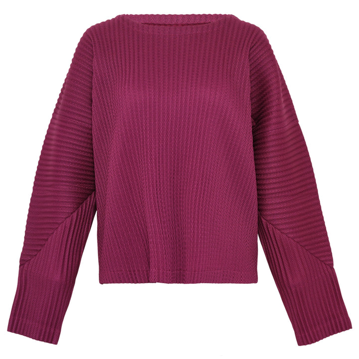 Warm Mesh Pleats Top