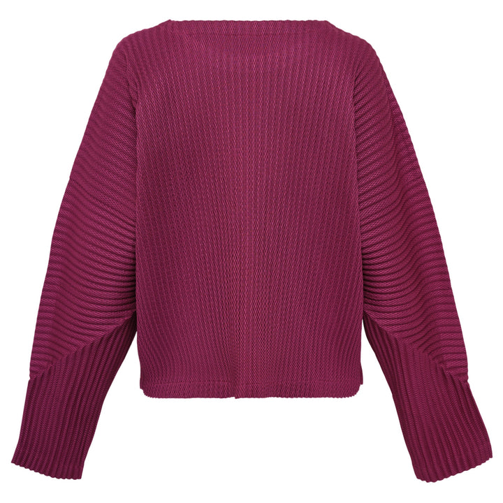 Warm Mesh Pleats Top