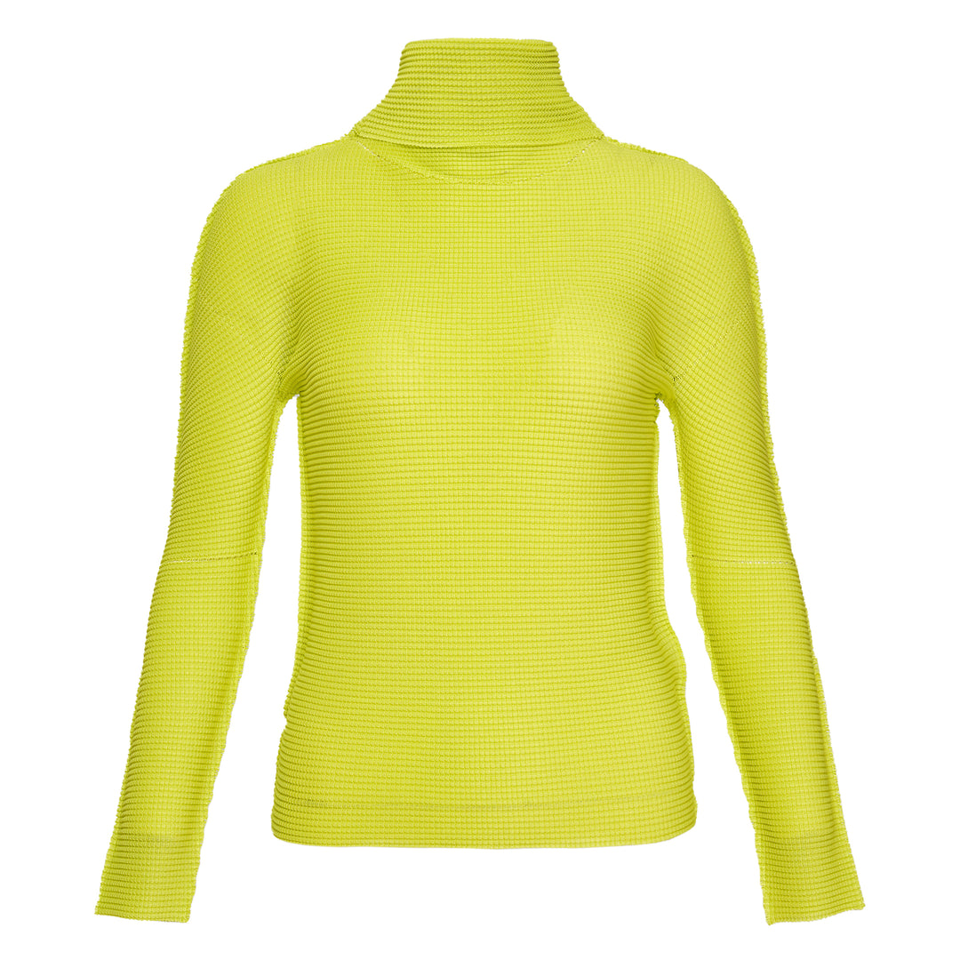 Knit Stretch Pleats 1 Long Sleeve High Neck Top