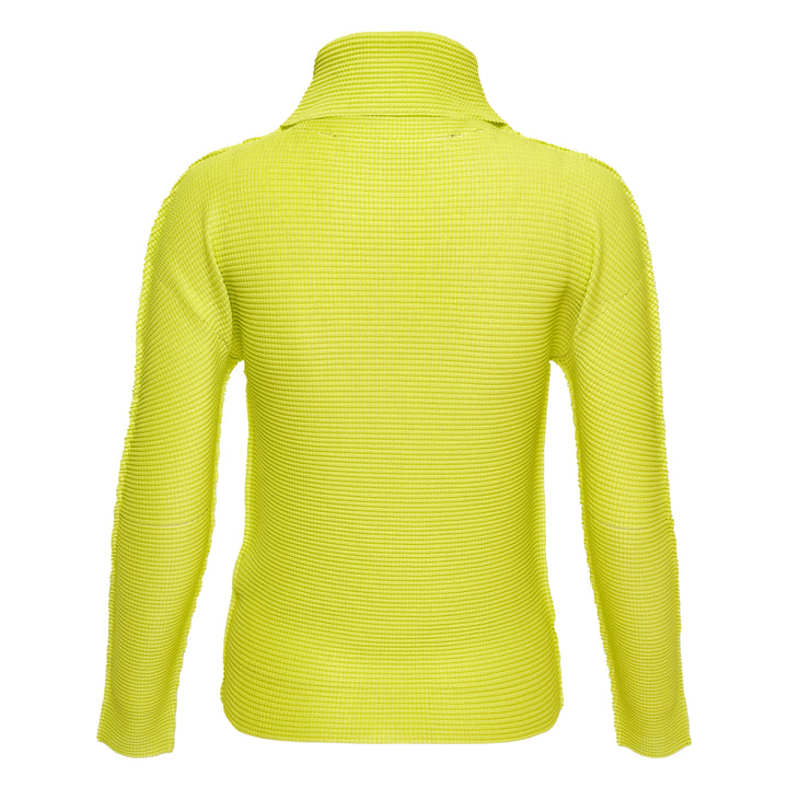 Knit Stretch Pleats 1 Long Sleeve High Neck Top