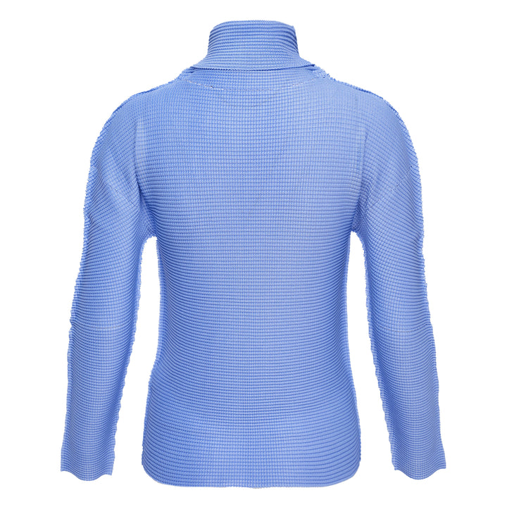 Knit Stretch Pleats 1 Long Sleeve High Neck Top