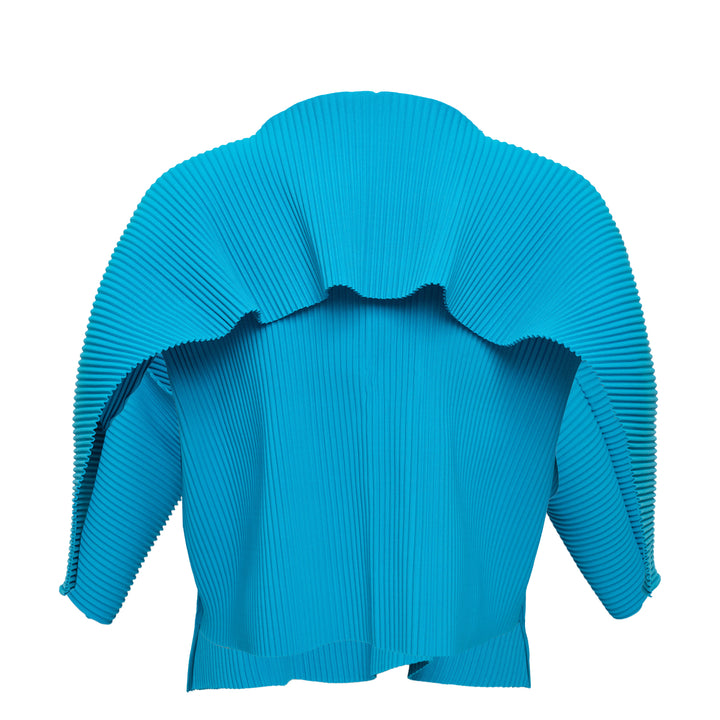 Trick Pleats Top