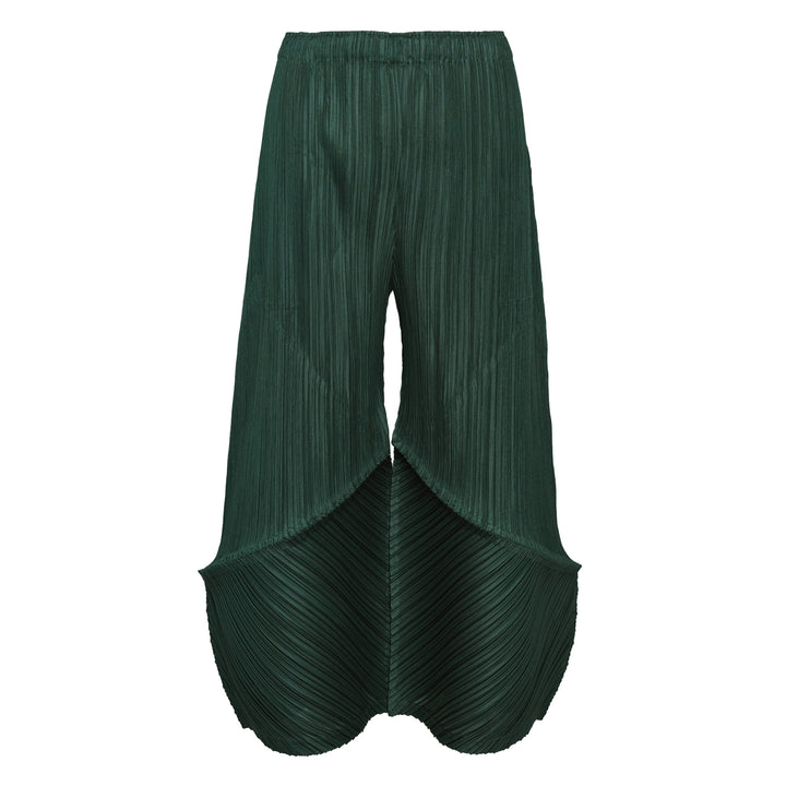 Wide Pleated Pants