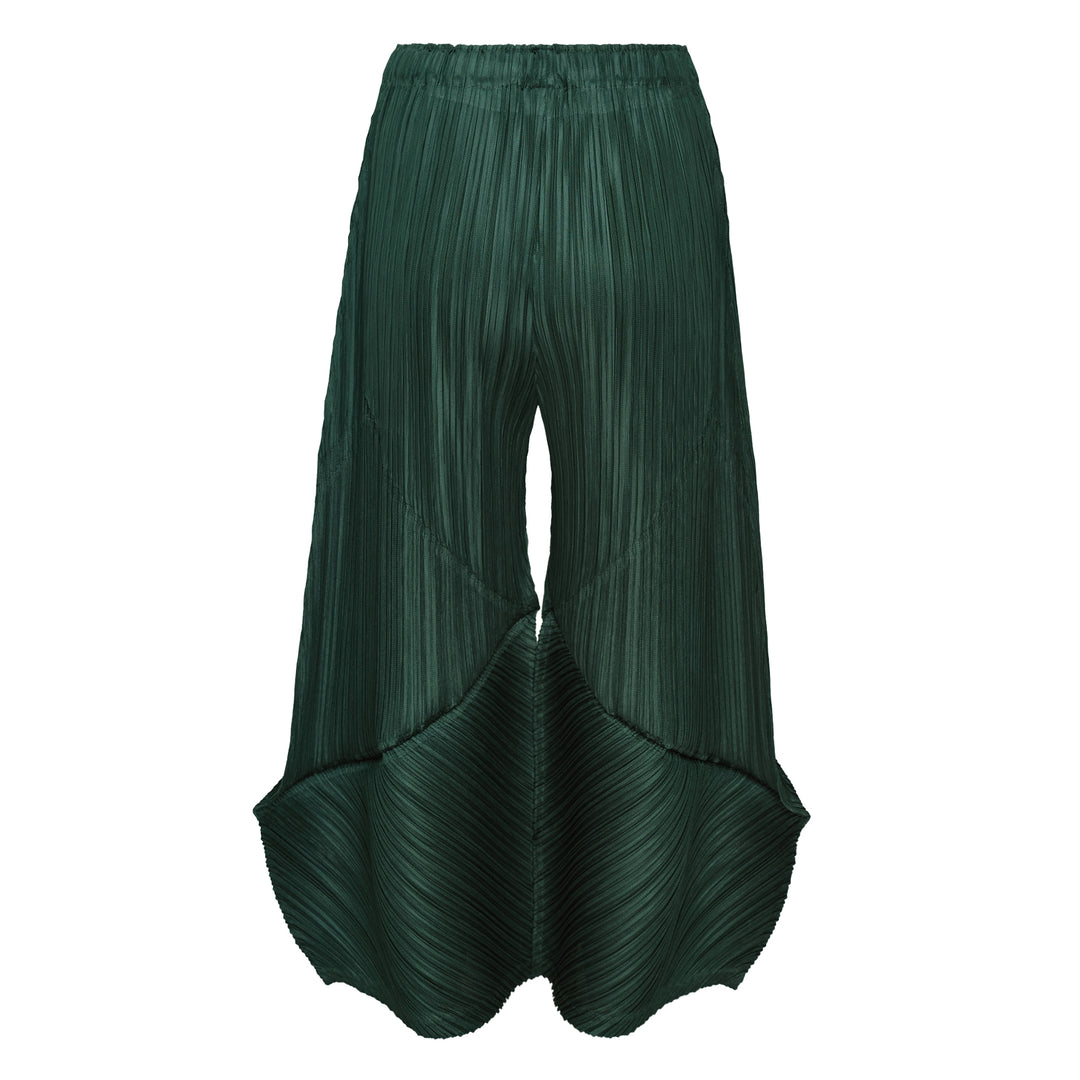 Wide Pleated Pants