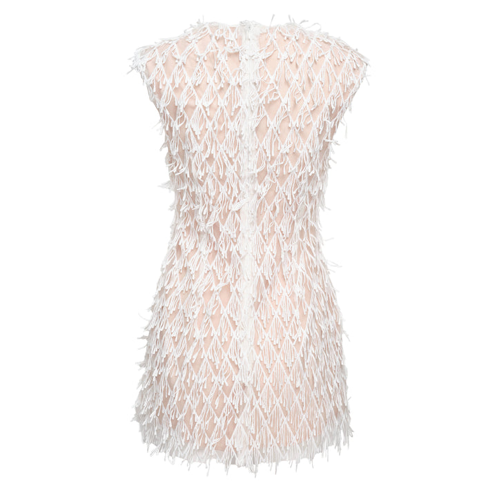 Feather Embellished Dress