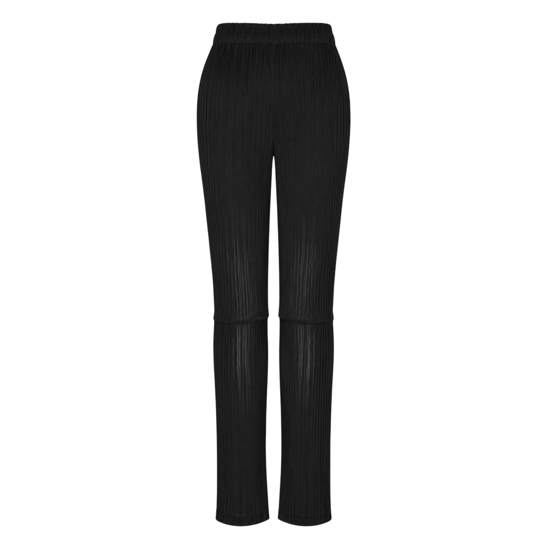 Sheer Slit Pleated Pants